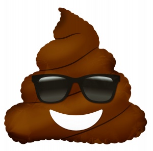 Poop with Sunglasses